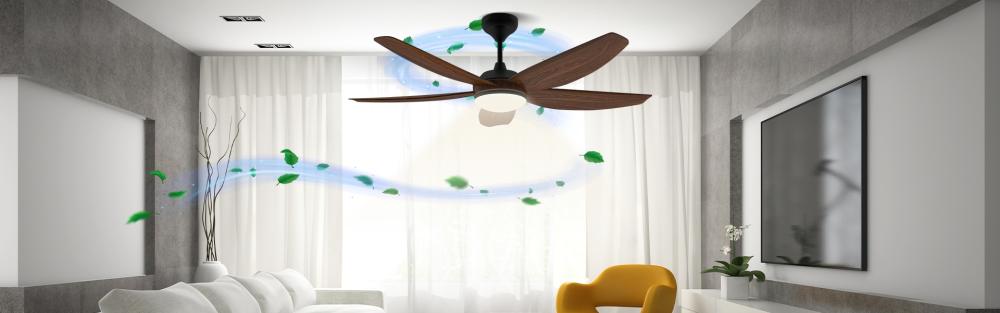 Ceiling Fan {category-image}