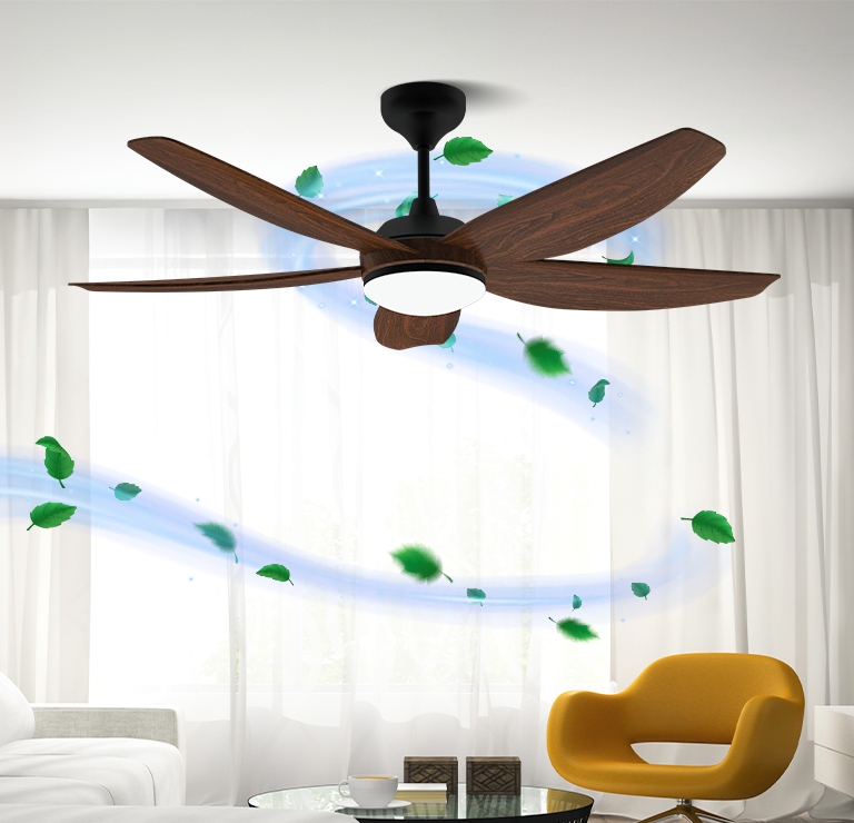 Ceiling Fan {category-image}