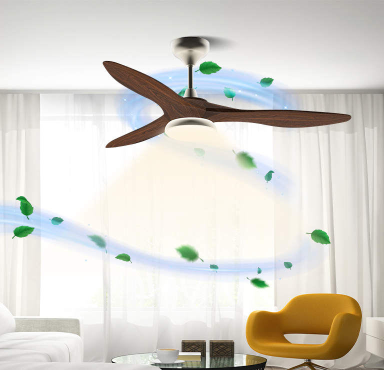 Ceiling Fan
