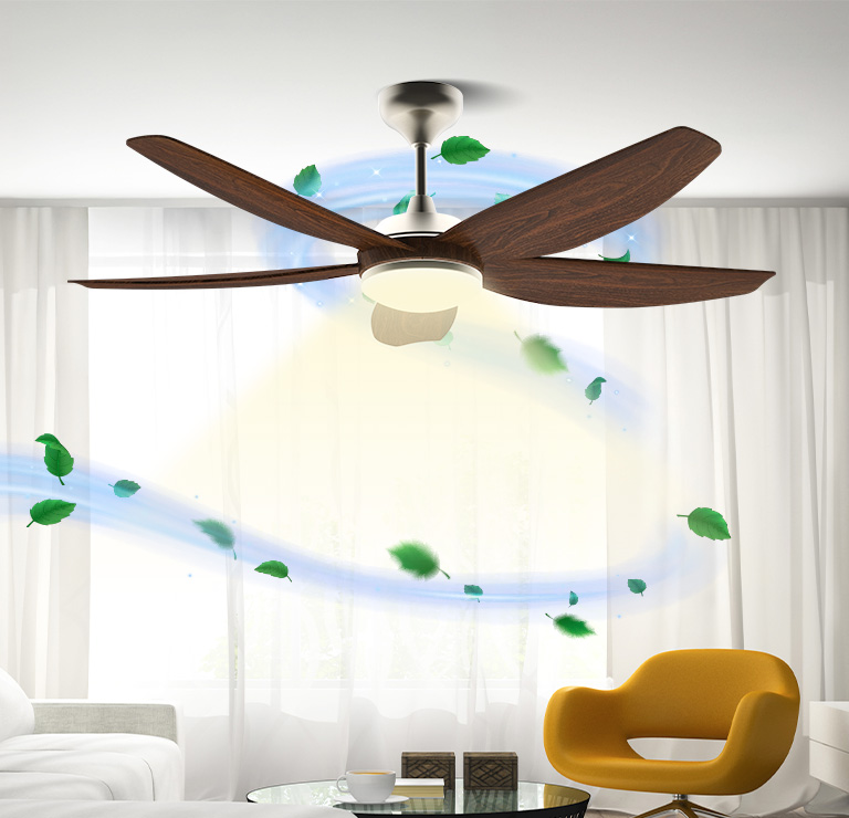 Ceiling Fan