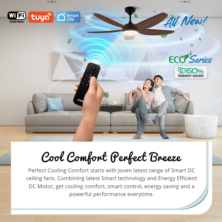 Ceiling Fan