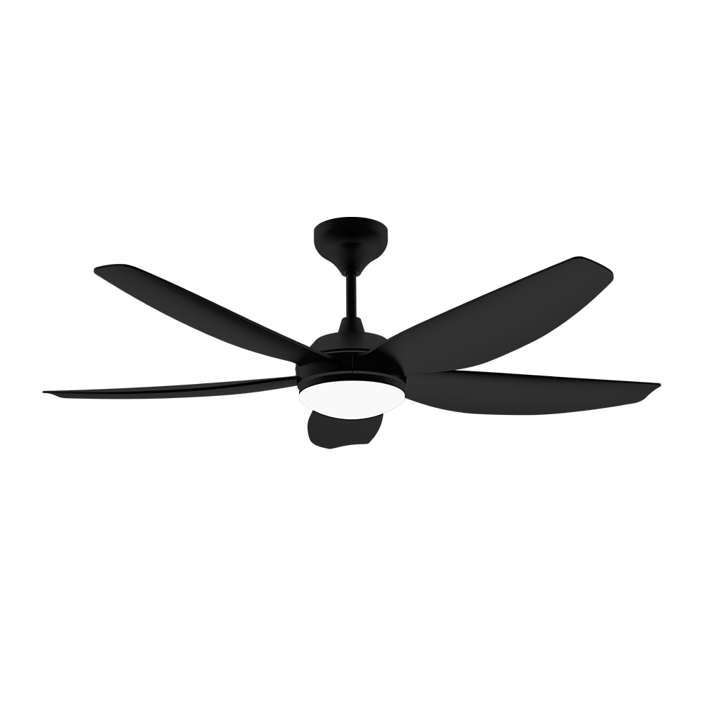 Ceiling fan